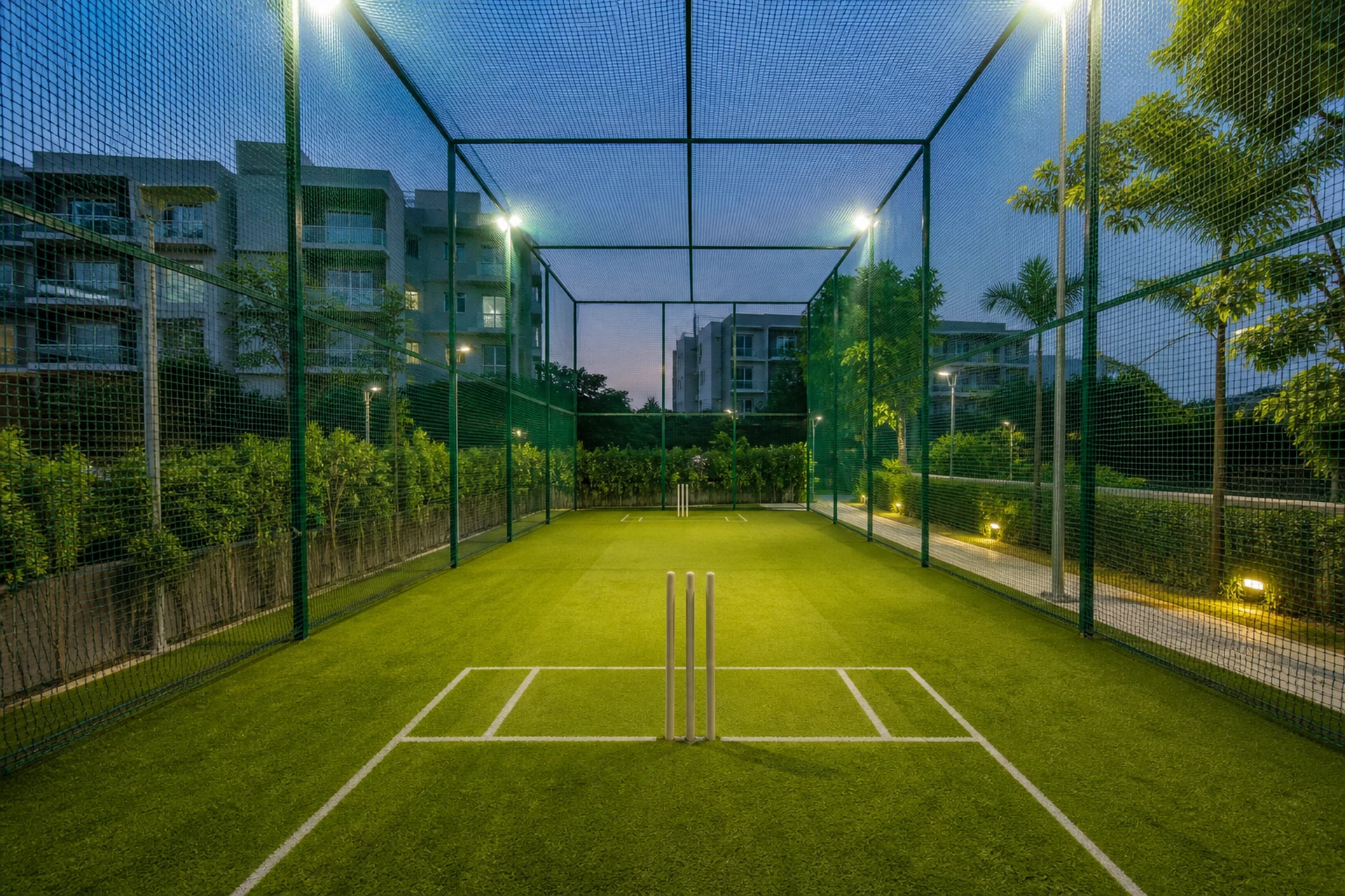 Cricket practice